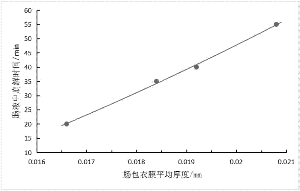 Enteric soluble hollow capsule and preparation method thereof