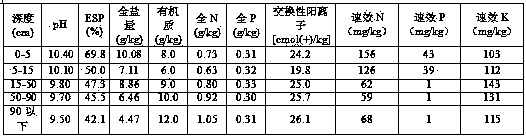 Rapid biological remediation method for alkali spots