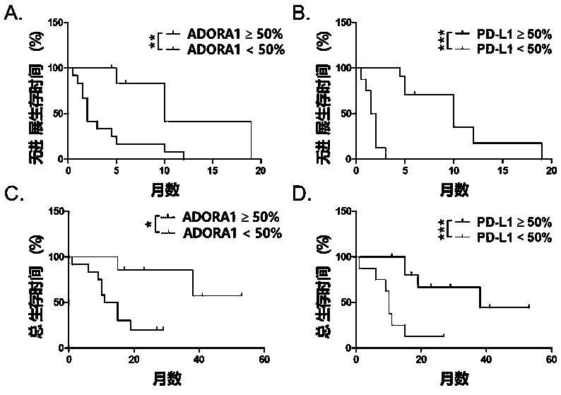 Application of ATF3 in preparation of PD-L1/PD-1 monoclonal antibody tumor immunotherapy drug