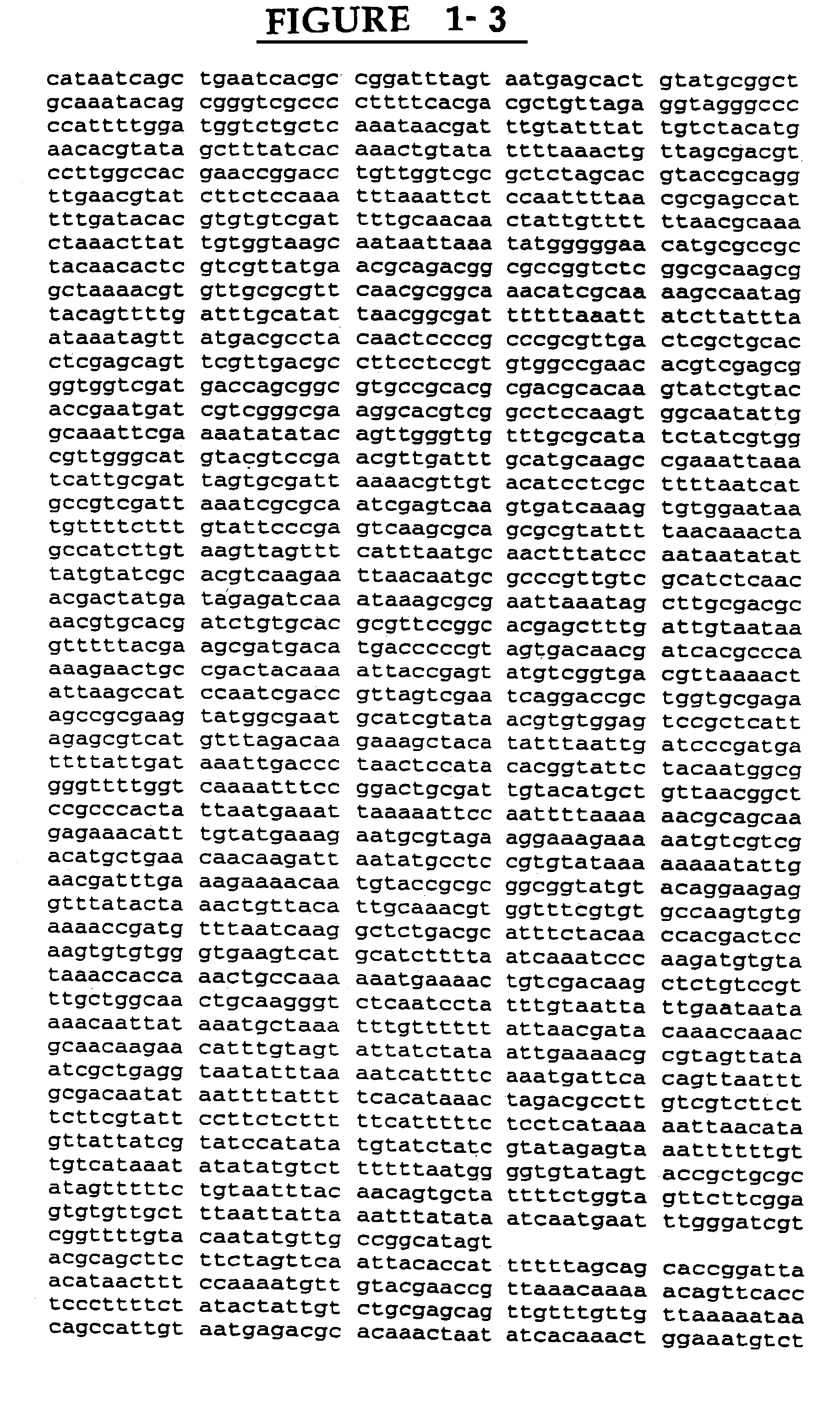 Ricin-like toxin variants for treatment of cancer, viral or parasitic infections