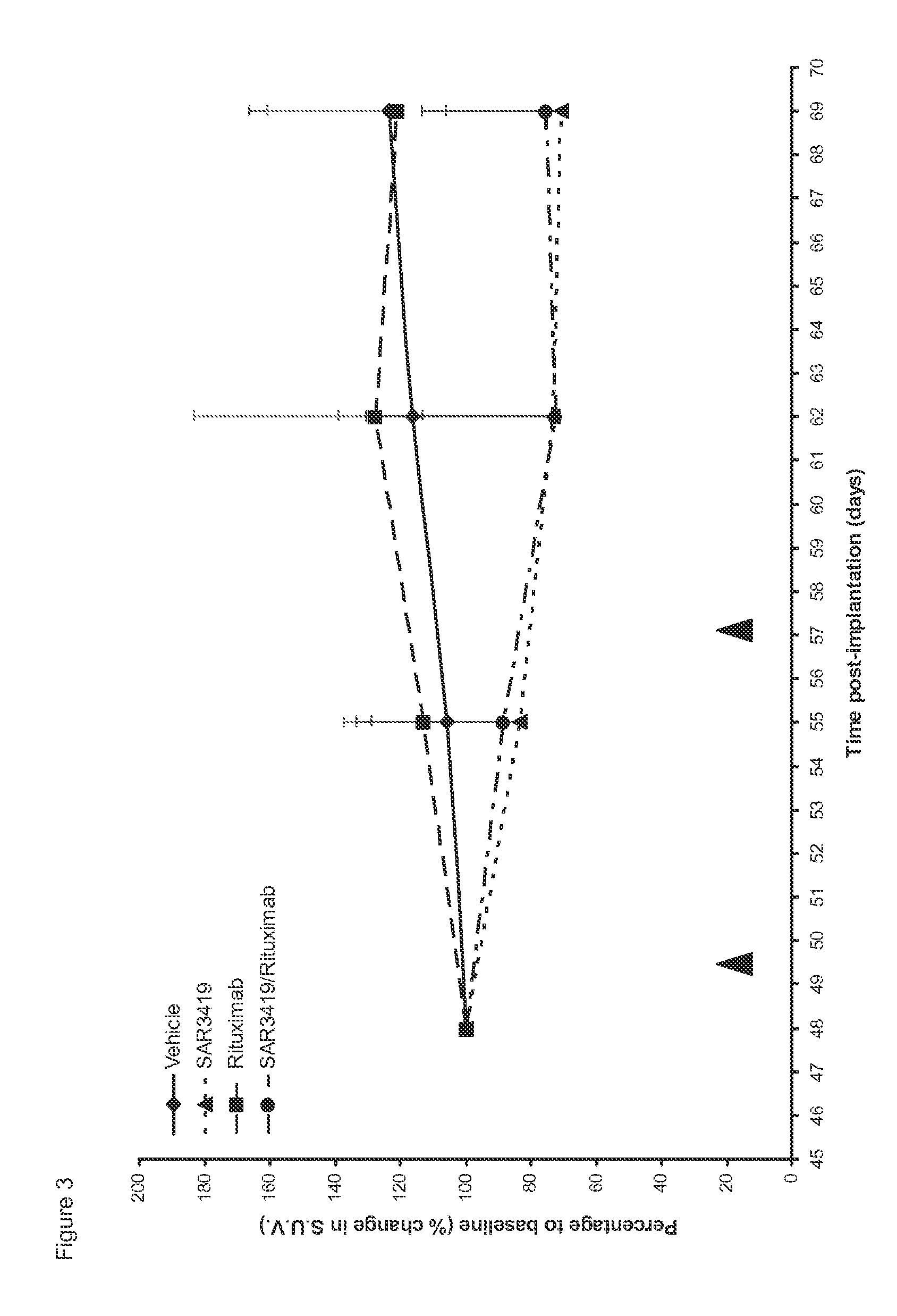 Combination therapy for the treatment of cd19+ b-cell malignancies symptoms comprising an Anti-cd1 maytansinoid immunoconjugate and rituzimab