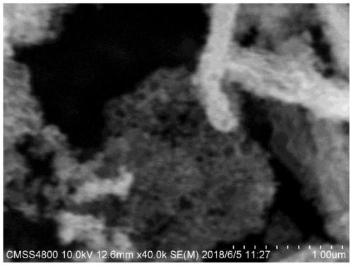 Preparation method and application of coralline-shaped layered porous carbon in lithium sulfur battery