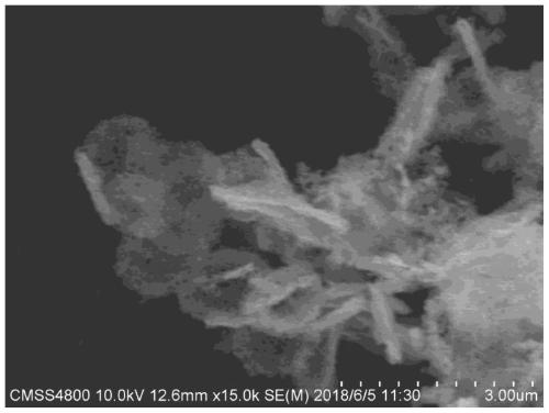 Preparation method and application of coralline-shaped layered porous carbon in lithium sulfur battery