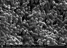 Method for preparing graphene porous membrane