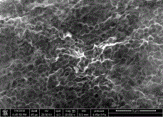 Method for preparing graphene porous membrane