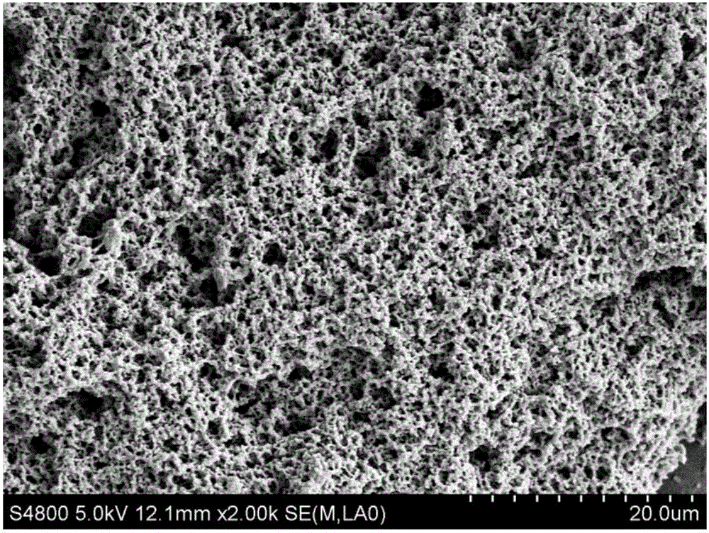 Nasal cavity spraying agent and preparation method thereof, and biological barrier film