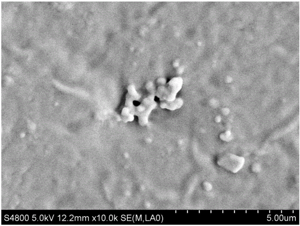 Nasal cavity spraying agent and preparation method thereof, and biological barrier film