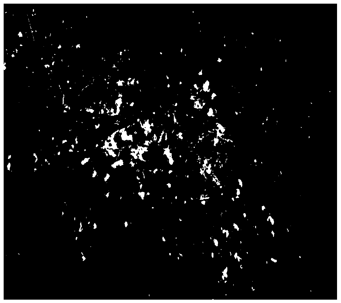 Agaricus bisporus culture medium and preparation method thereof