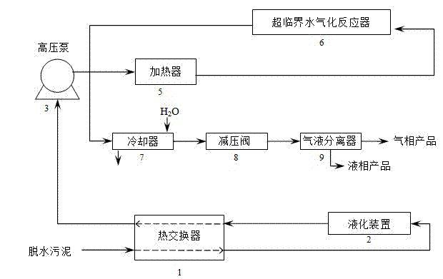 Low-water-content dehydrated sludge direct supercritical water gasification processing apparatus and method