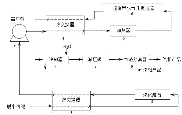 Low-water-content dehydrated sludge direct supercritical water gasification processing apparatus and method