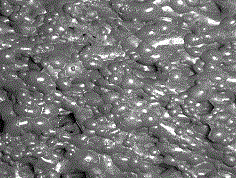 Self-adaptation flotation froth image enhancement method based on fractional order differential