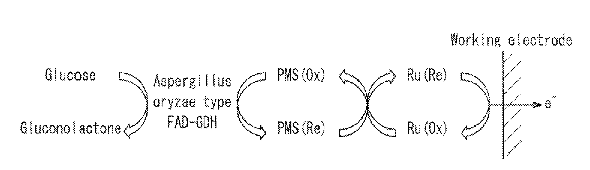 Glucose sensor