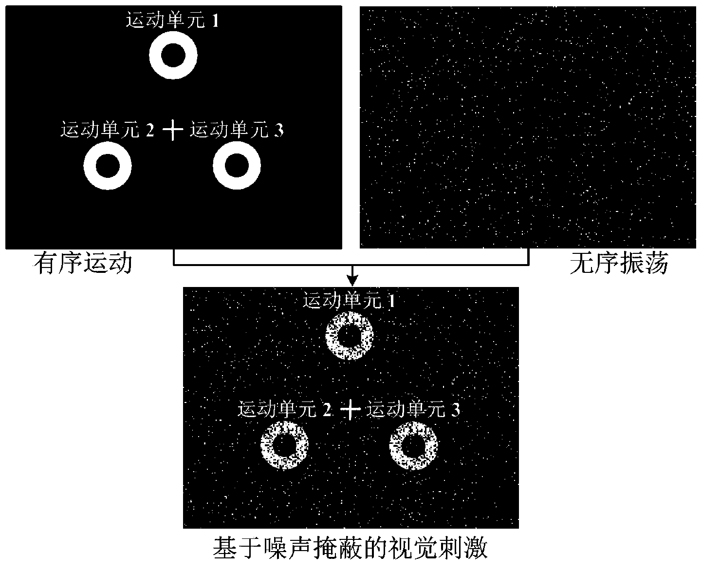 Steady motion visual evoked potential brain computer interface method based on stochastic resonance enhancement