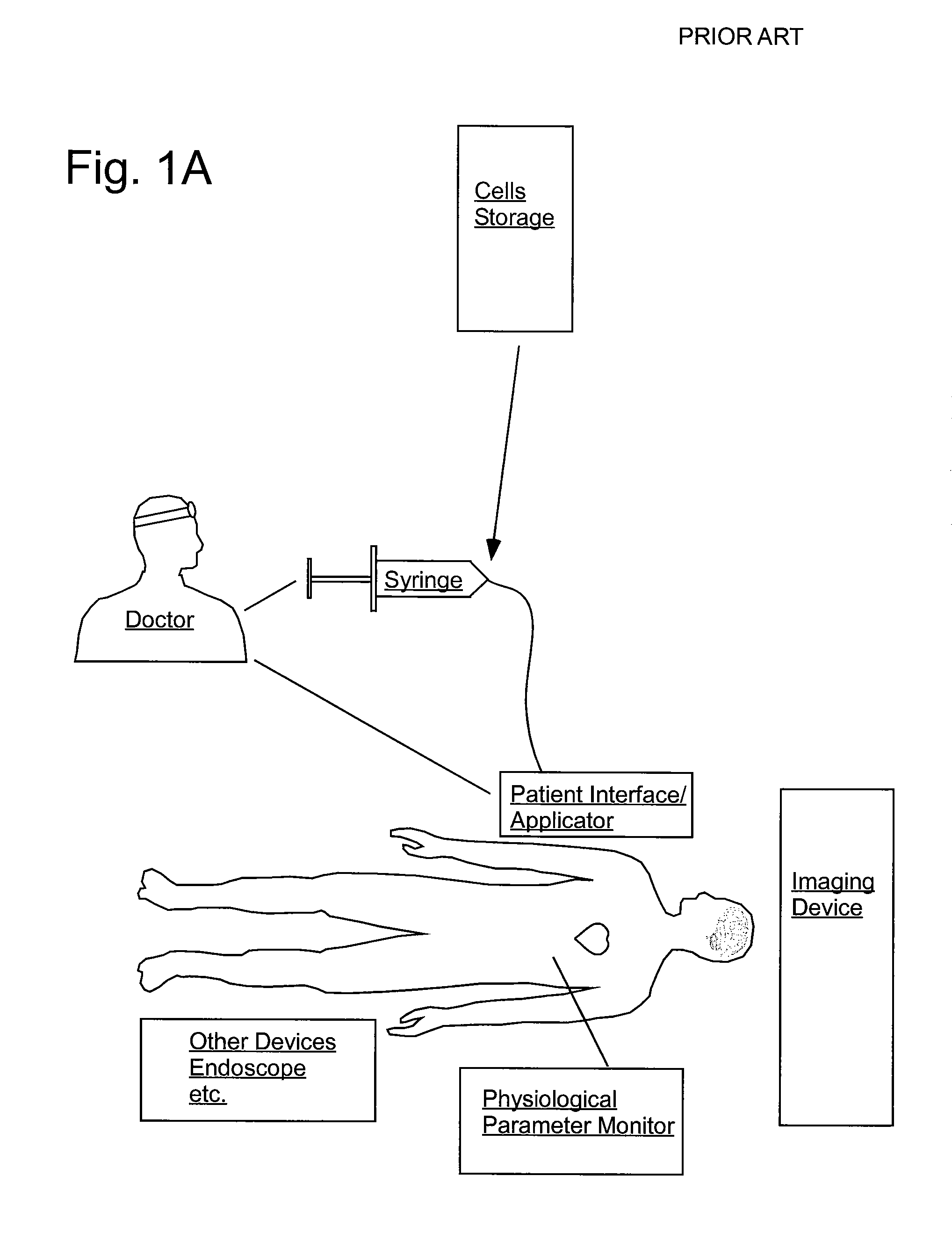 Delivery of agents to tissue