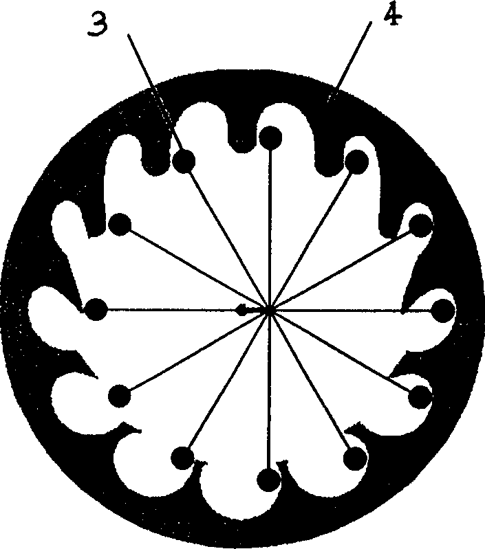 Planet scale division cam structure