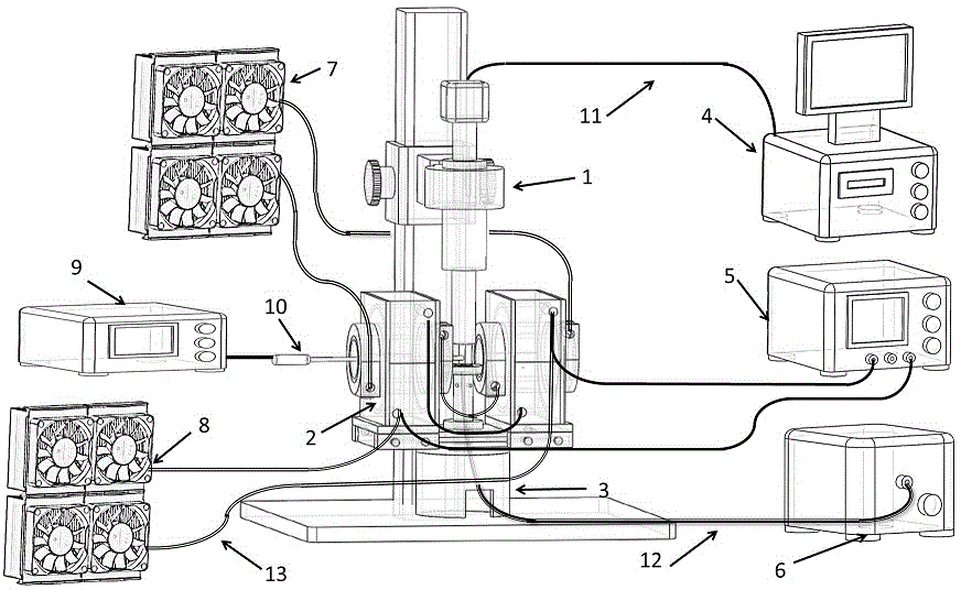 Experimental apparatus for researching microstructure and magnetic field relation of magnetic fluid