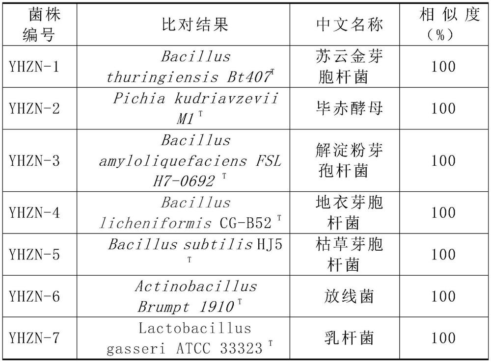 Screening method, preparation method and application of deodorization dominant bacteria