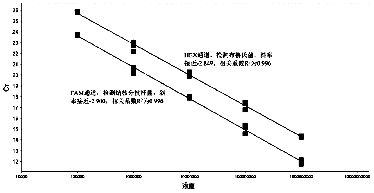 Composition and kit for detecting mycobacterium tuberculosis and/or brucella and application of composition