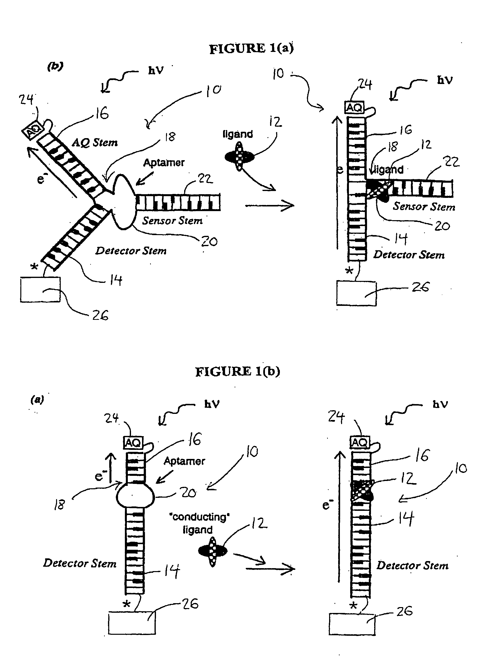 Dna conformational switches as sensitive electronic sensors of analytes