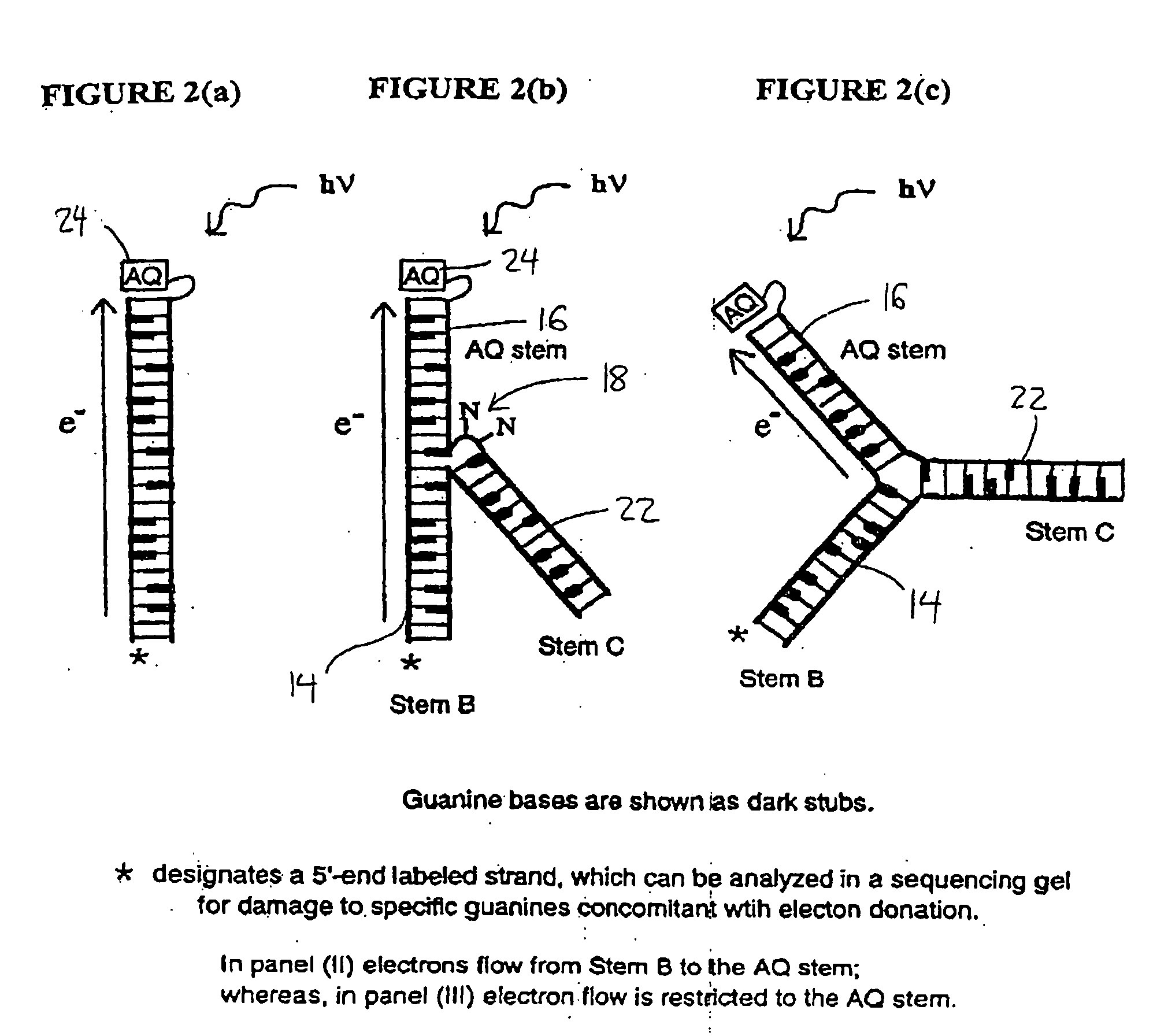 Dna conformational switches as sensitive electronic sensors of analytes