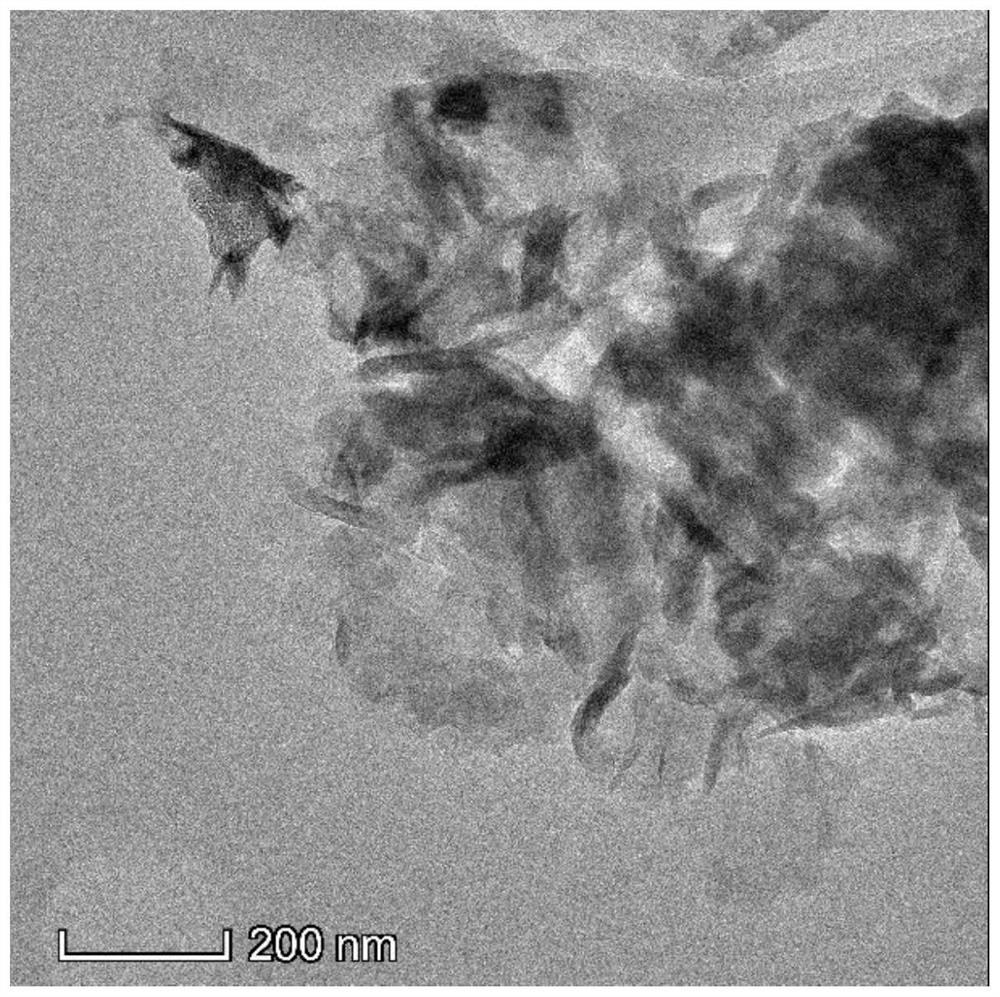 VO2/g-C3N4 composite photocatalyst as well as preparation method and application thereof