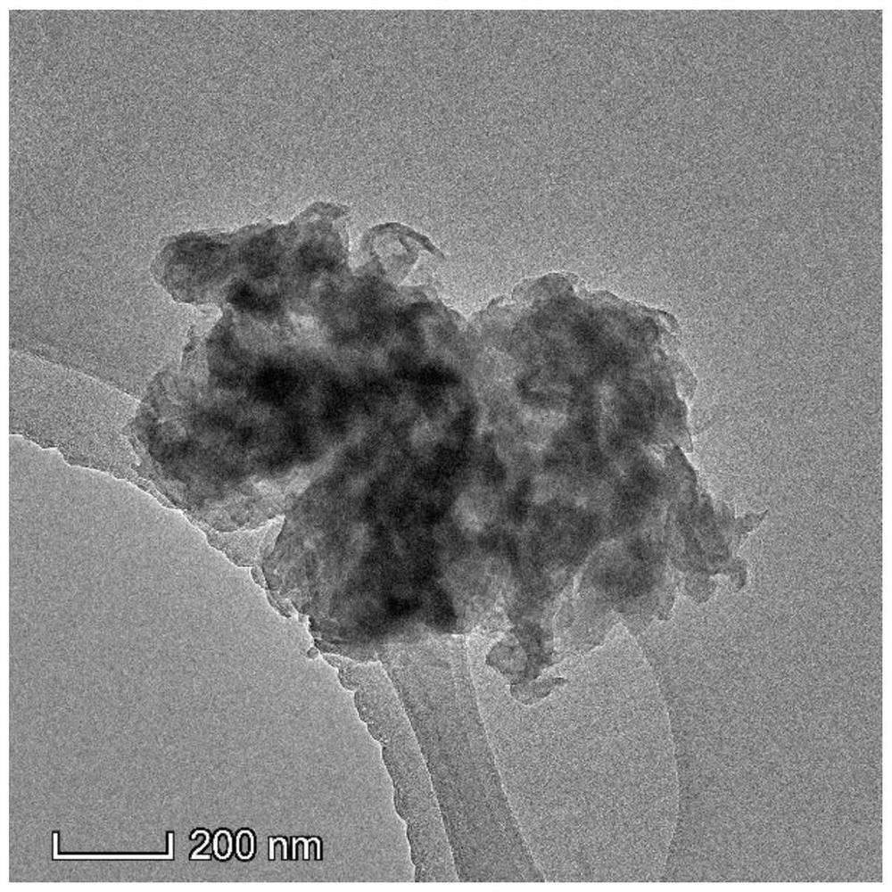 VO2/g-C3N4 composite photocatalyst as well as preparation method and application thereof