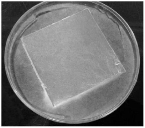 Anti-mold and anti-bacterial paper-surface gypsum board and preparation method thereof