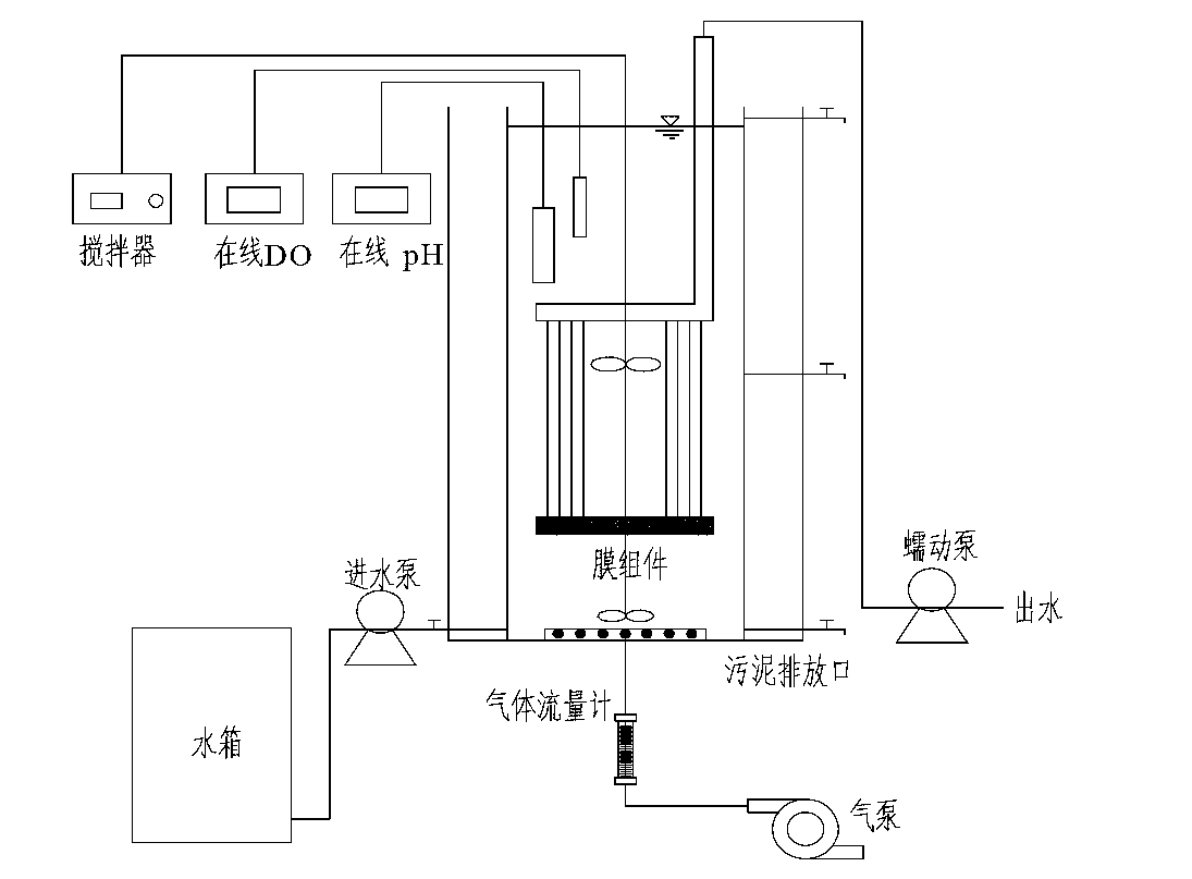 Rapid starting method of membrane bioreactor completely-autotrophic nitrogen removal technology