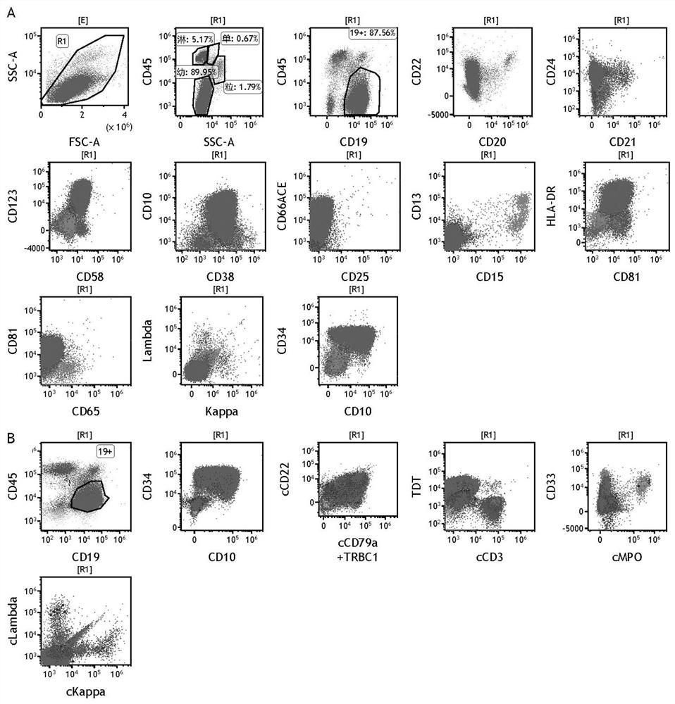 Reagent composition for b-all/lbl immunotyping and application thereof