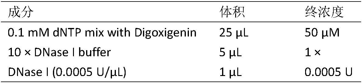 Method for identifying consanguinity of saccharum arundinaceum in sugarcane via spread sequence