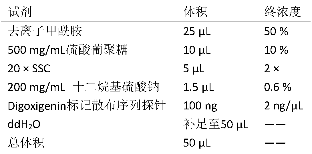 Method for identifying consanguinity of saccharum arundinaceum in sugarcane via spread sequence