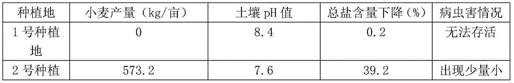 Method for planting wheat on severe saline-alkali soil