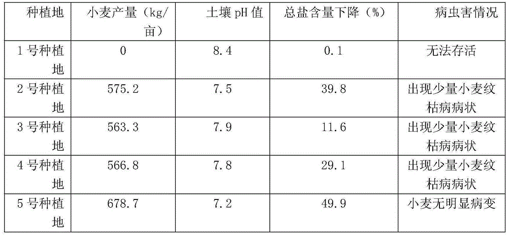 Method for planting wheat on severe saline-alkali soil