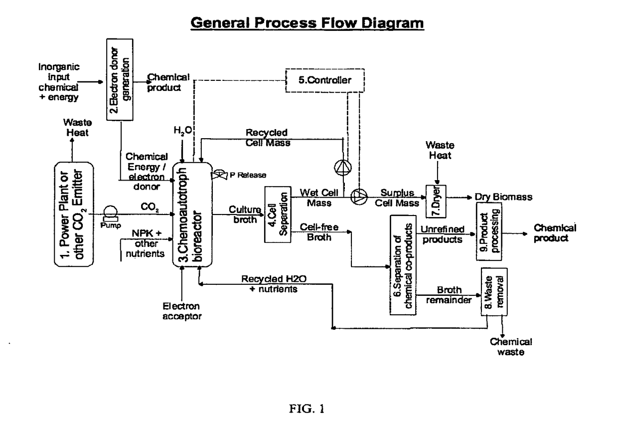 Biological and Chemical Process Utilizing Chemoautotrophic Microorganisms for the Chemosynthetic Fixation of Carbon Dioxide and/or Other Inorganic Carbon Sources into Organic Compounds and the Generation of Additional Useful Products