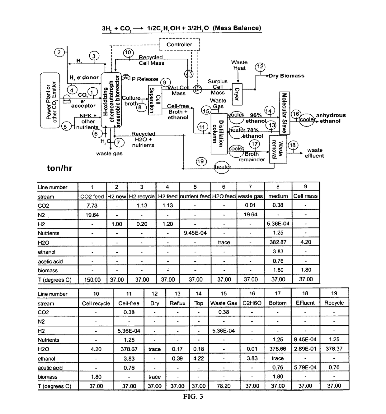 Biological and Chemical Process Utilizing Chemoautotrophic Microorganisms for the Chemosynthetic Fixation of Carbon Dioxide and/or Other Inorganic Carbon Sources into Organic Compounds and the Generation of Additional Useful Products