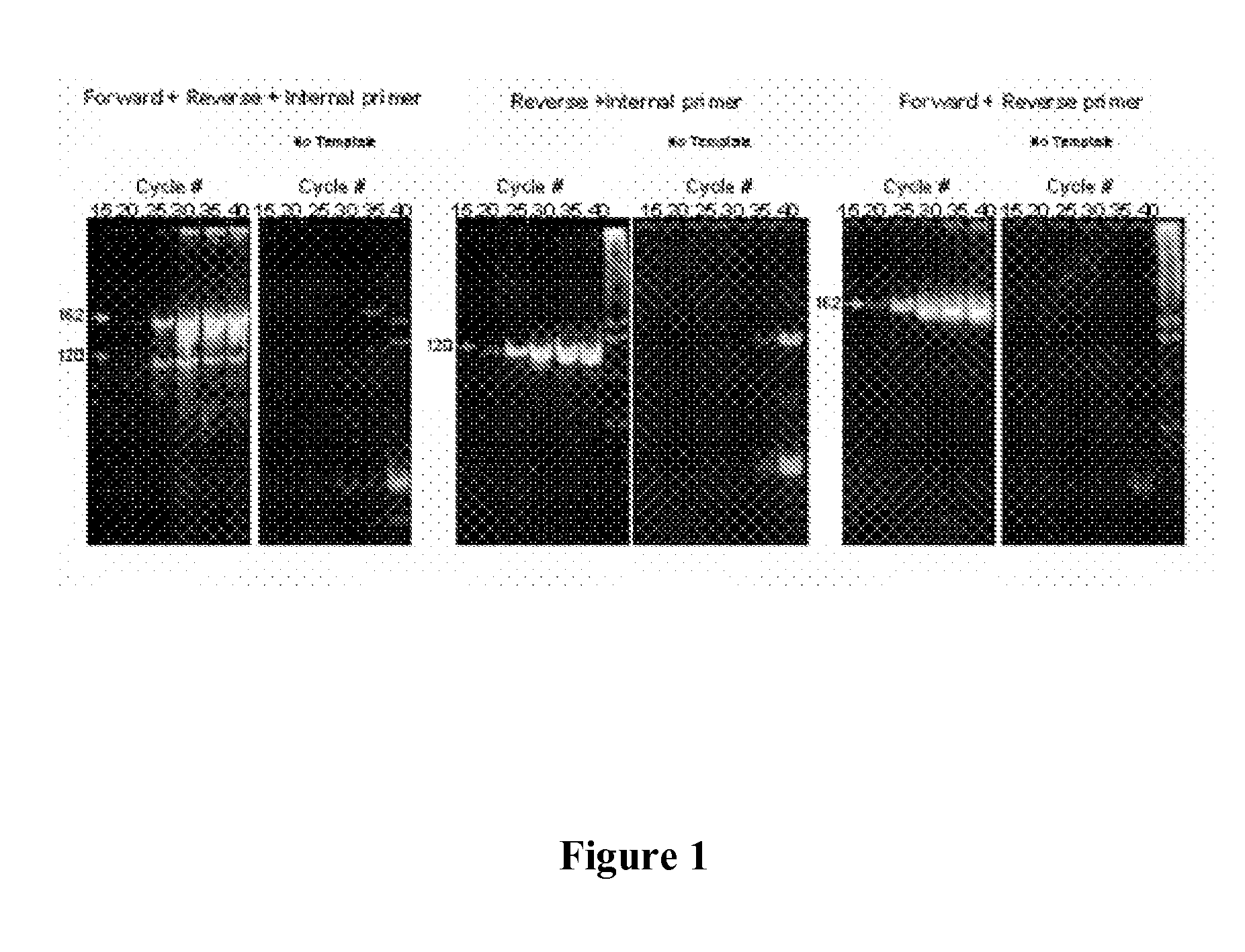 Nucleic acid monomers with 2'-chemical moieties