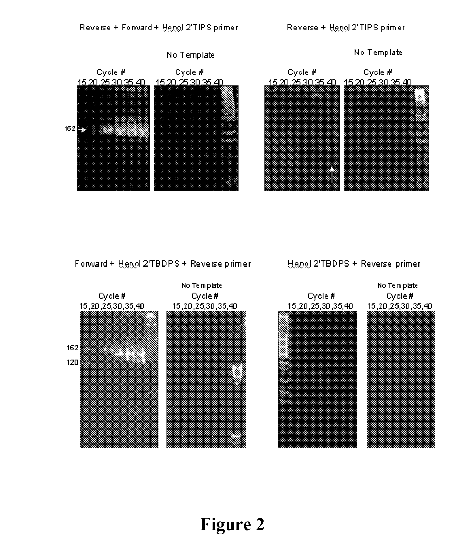 Nucleic acid monomers with 2'-chemical moieties