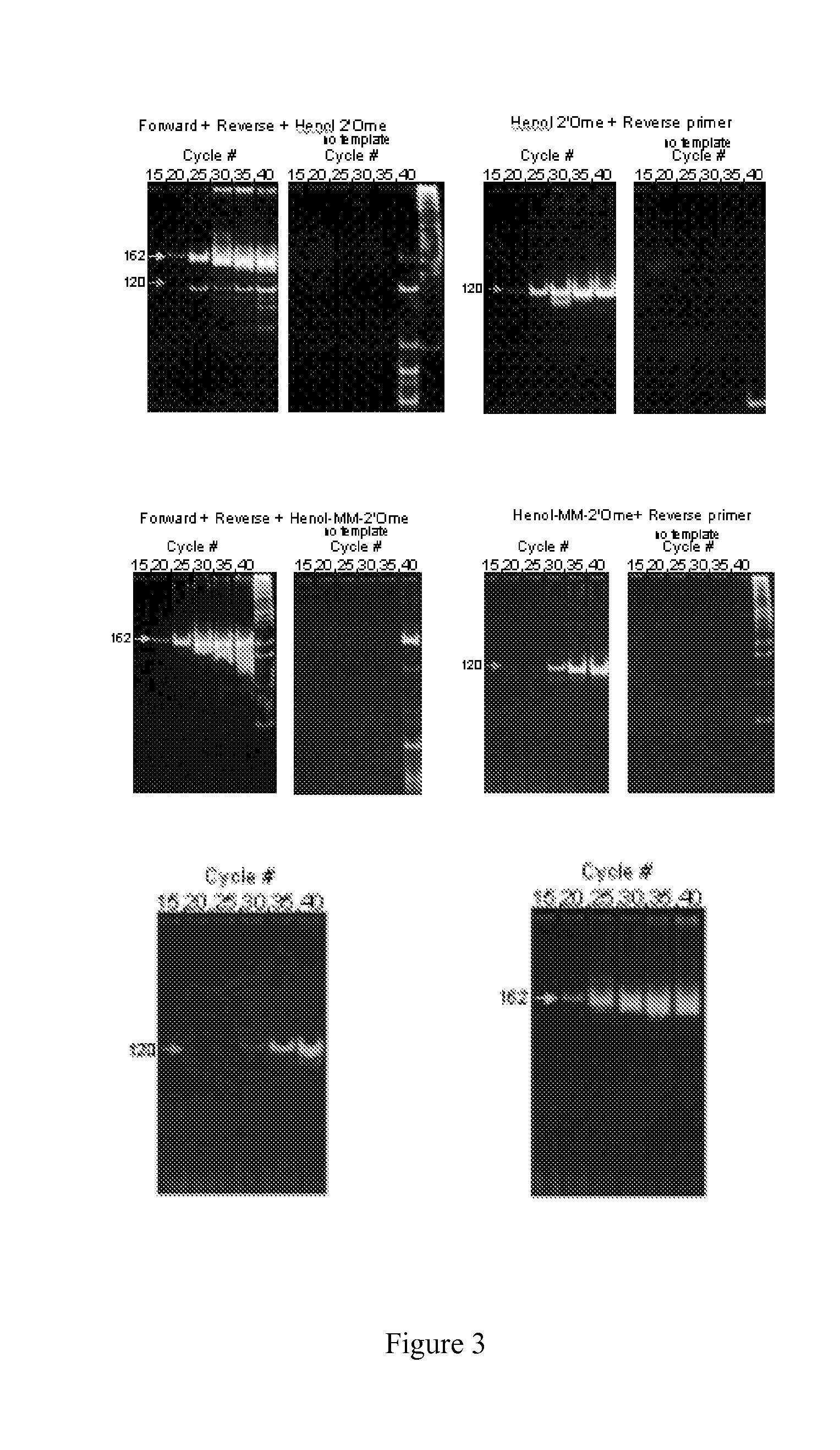 Nucleic acid monomers with 2'-chemical moieties