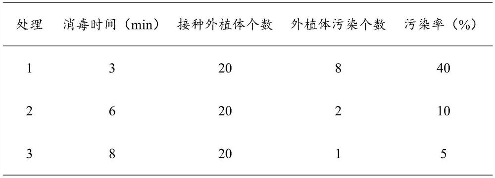 A method for tissue culture rapid propagation and in vitro preservation of chicken bone Changshan seedlings