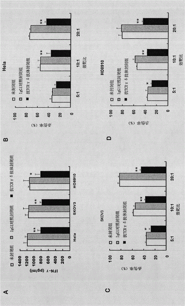 Gene modified CDR3 delta transplanted gamma delta T lymphocyte and its antitumor purpose