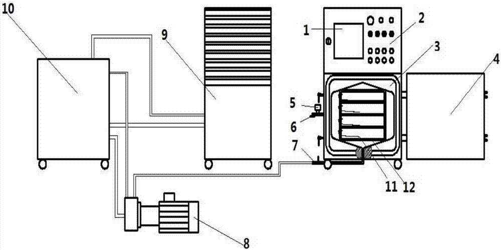 Method for drying pumpkins