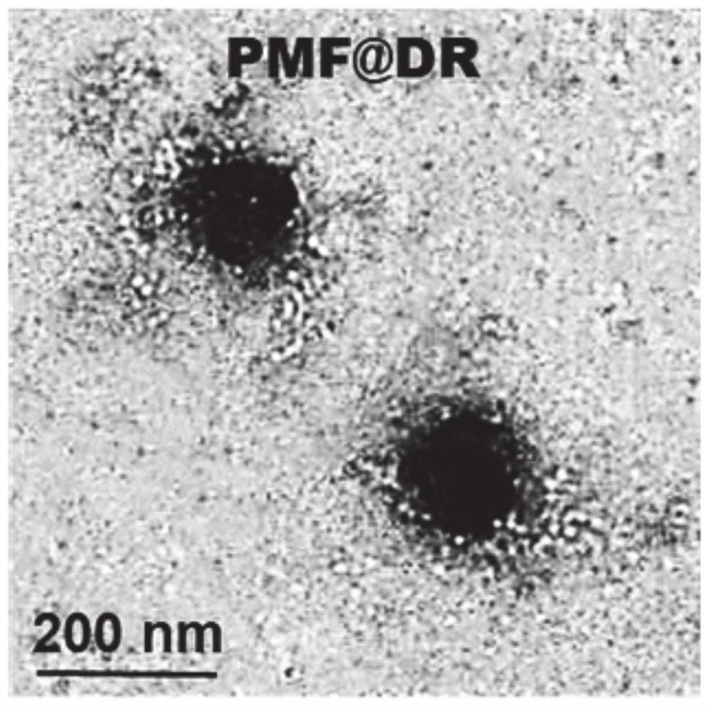 Bionic nano preparation based on platelet membrane fragments as well as preparation method and application of bionic nano preparation