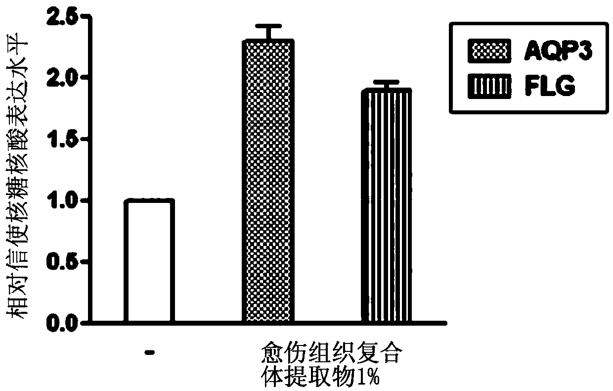 Cosmetic composition for improving skin condition comprising plant cell complex cultures