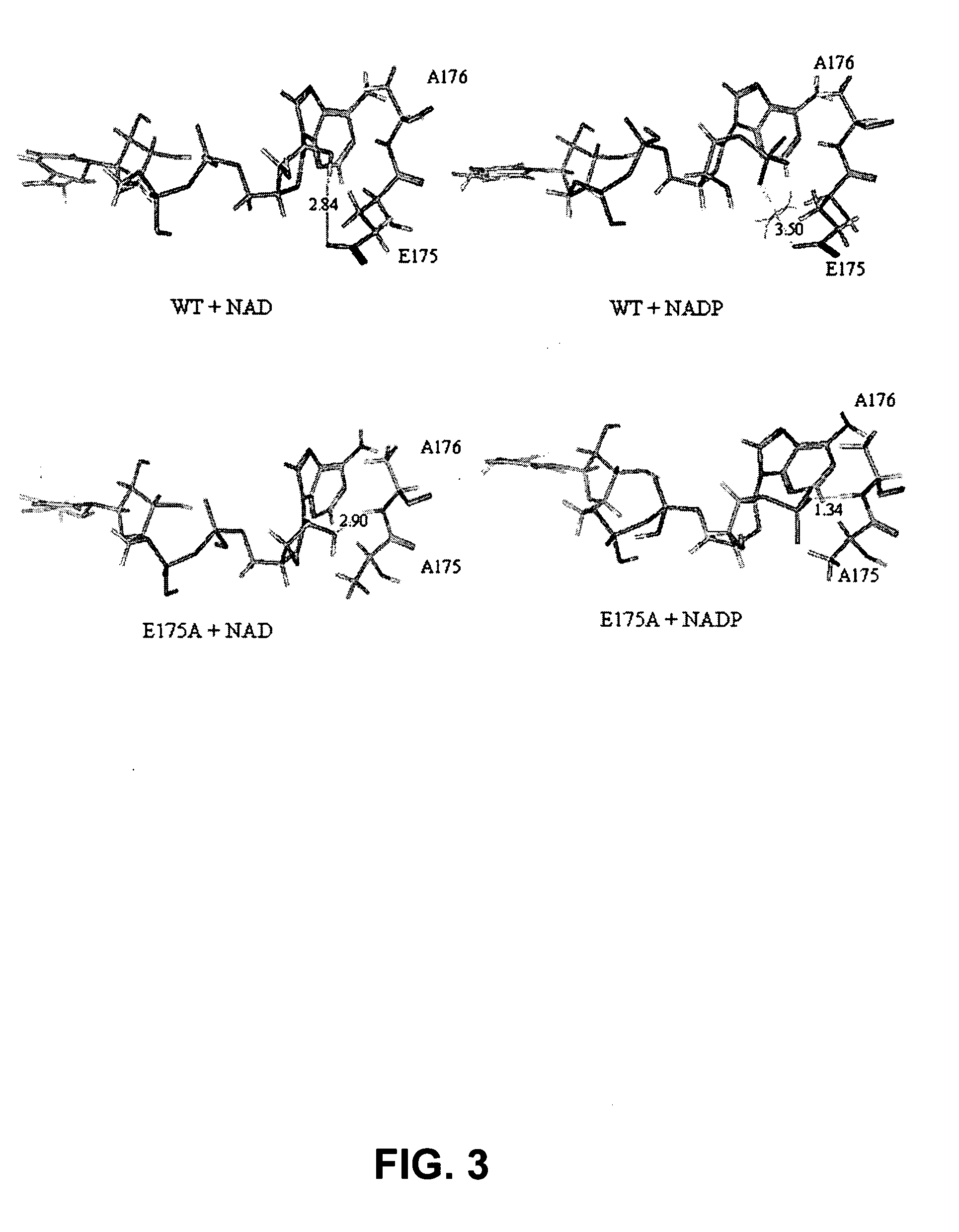 Phosphite dehydrogenase mutants for nicotinamide cofactor regeneration