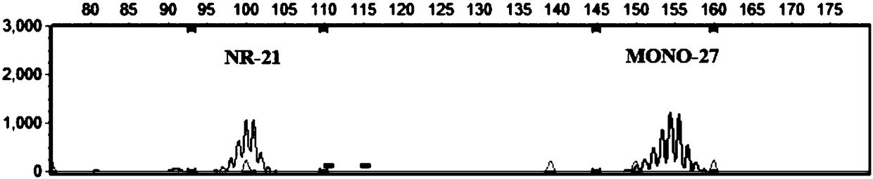 Marker combination, primer group and kit for detecting microsatellite sequence stability