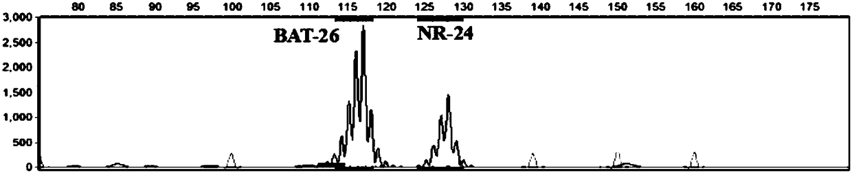 Marker combination, primer group and kit for detecting microsatellite sequence stability