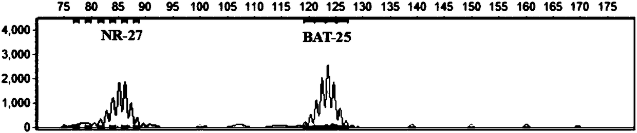 Marker combination, primer group and kit for detecting microsatellite sequence stability