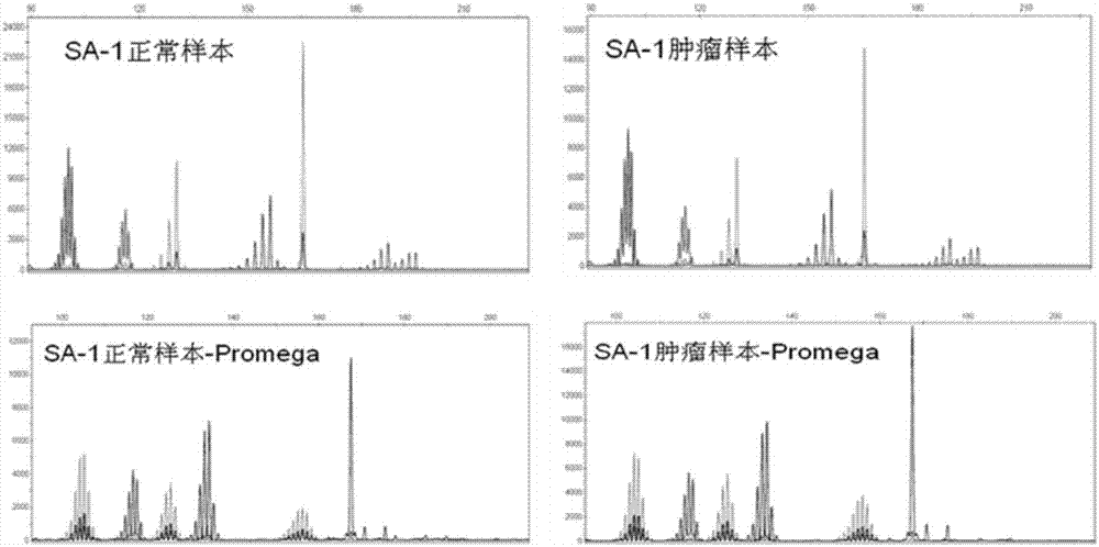 Microsatellite instability detection method