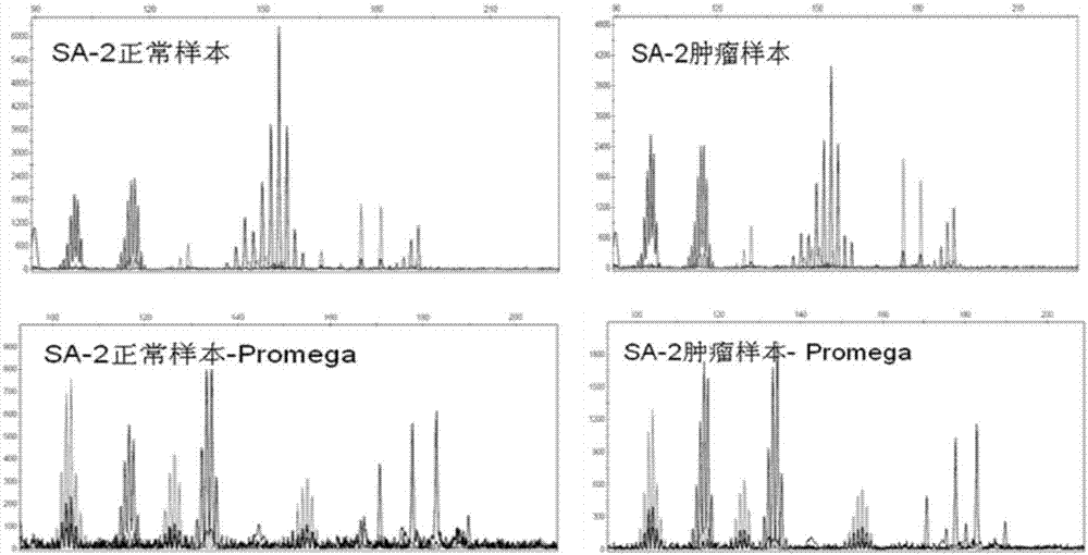 Microsatellite instability detection method