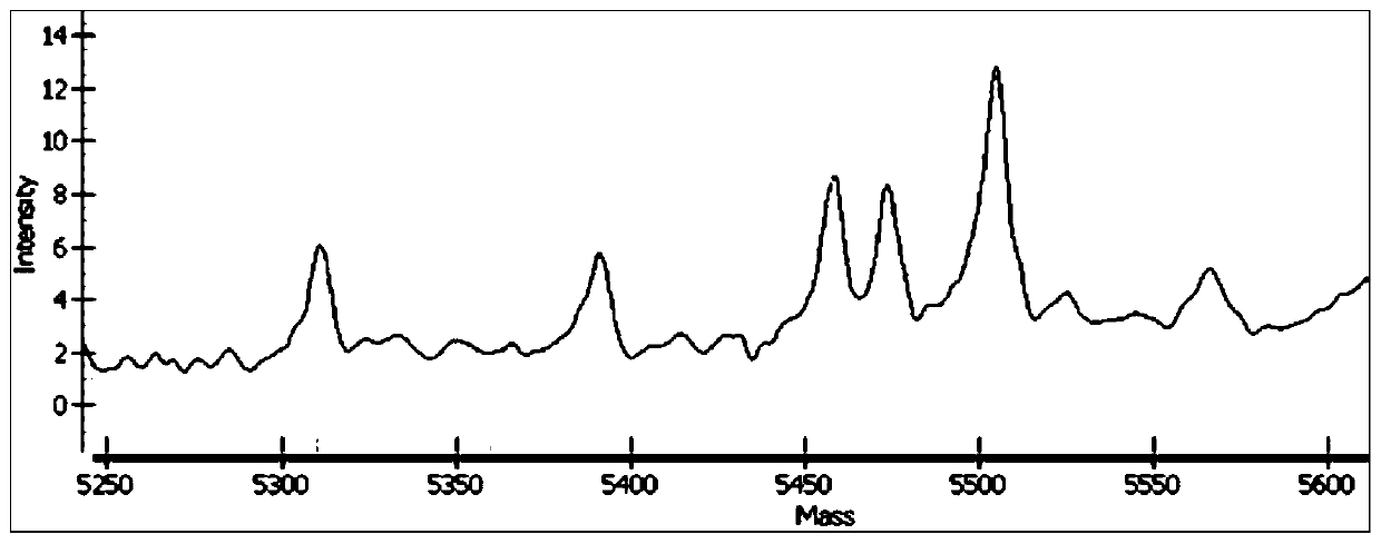 Flight mass spectrometry genotyping detection method